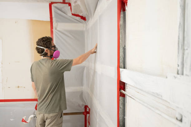 Professional Mold Removal in Collingdale, PA