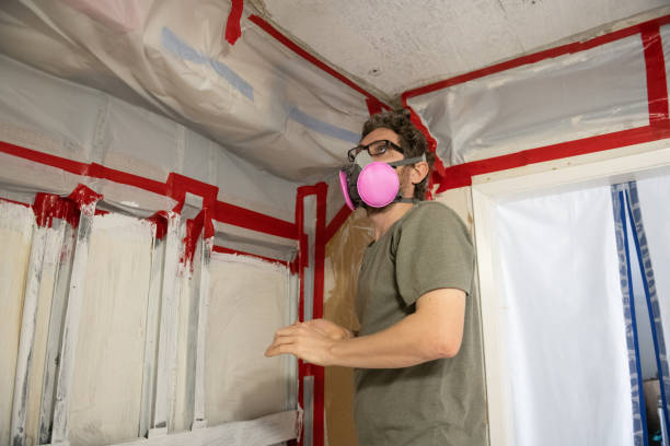 Best Crawl Space Mold Remediation  in Collingdale, PA